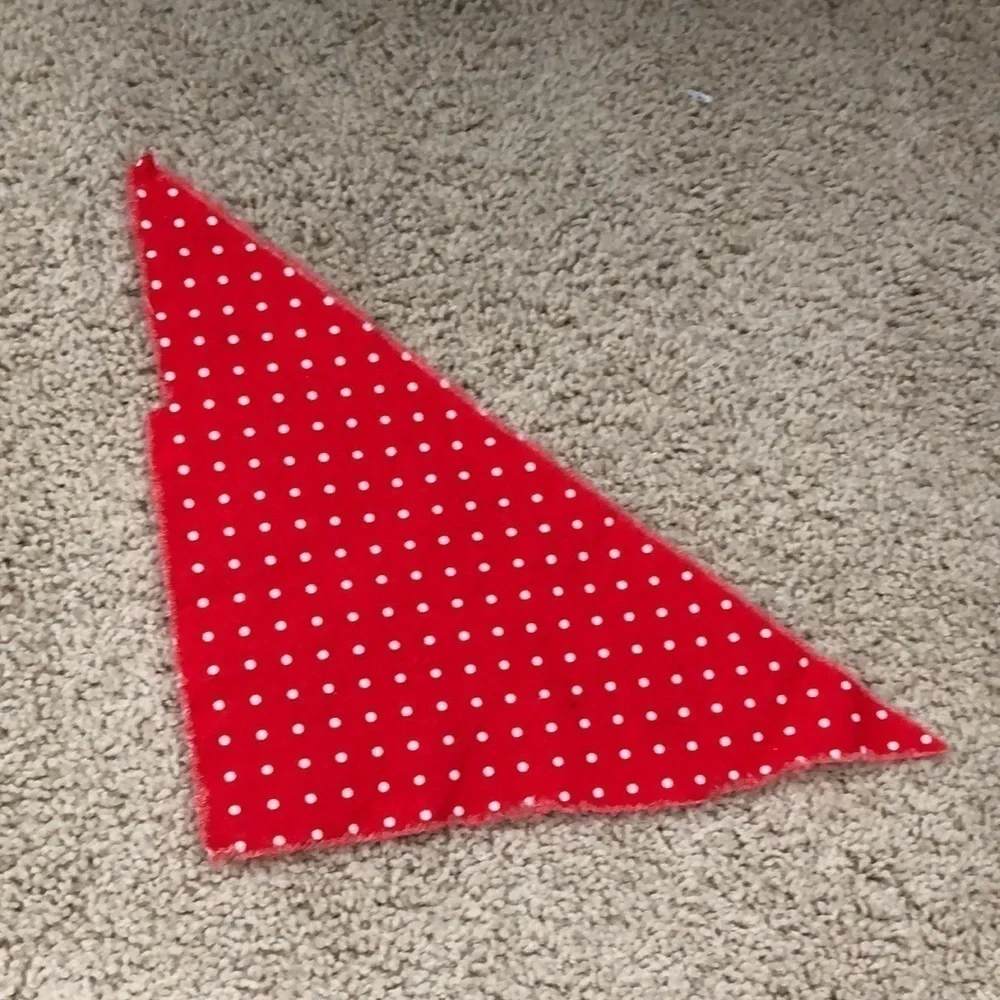 🔵 Pet bandanna
